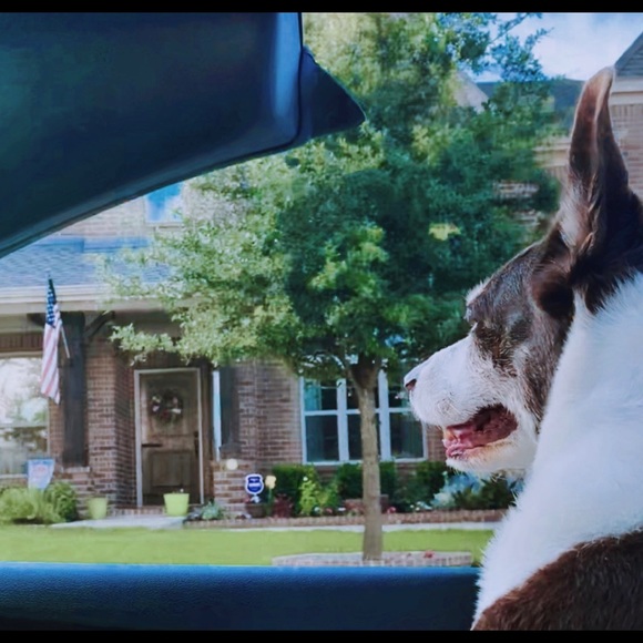 Meet your Posher, Stephanie - Picture 6 of 8